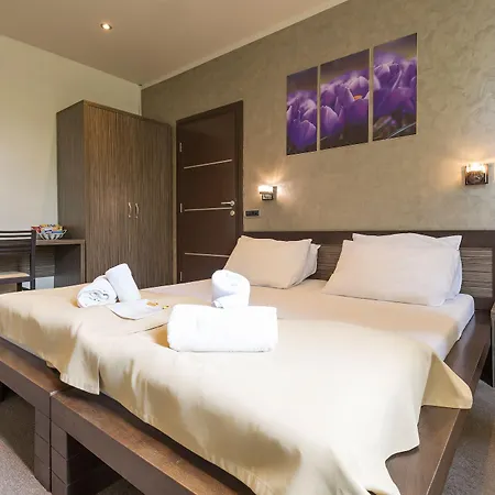 Mystique Guest house