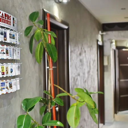 בית הארחה Mystique